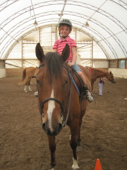 Love-Smiles-Horses-Bailey:  Seuss During Campsthis Little Girl Asks To Ride Seuss