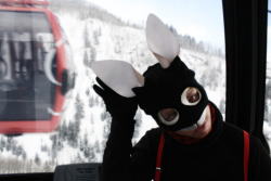 Ski Bunny, Brer Rabbit - Aspen, Colorado 2011 - Alexander Guerra *Something to help cool down this heatwave! 