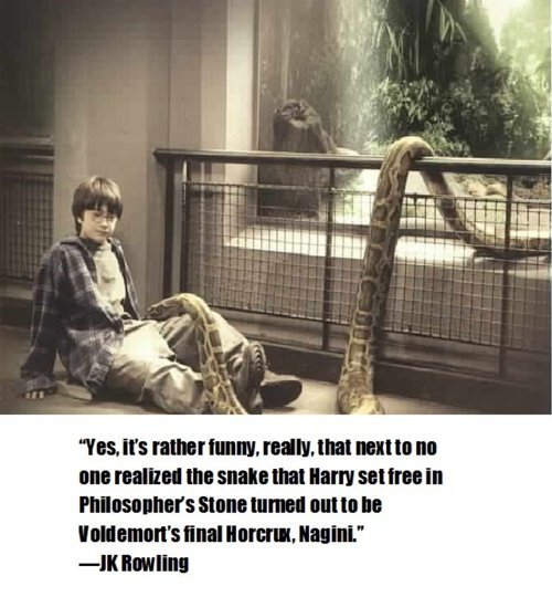 NO IT’S NOT BECAUSE HARRY FREED A CONSTRICTOR! WHEN NAGINI BIT ARTHUR WEASLEY SHE HAD VENOM THAT DISSOLVED HIS STITCHES AND CONSTRICTORS DON’T HAVE VENOM