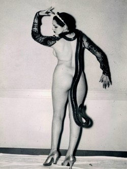 frenchtwist:  via hoodoothatvoodoo:  Zorita..  letting her snake dangle down between her bum cheeks!  