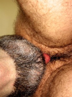 men-upclose:  serifsmith:  Hairy Arse Lick   Men-UpClose closeups of places I’d like my bearded chin to be 