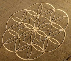 jumbi:  If so much dimensionality can be housed within the symbol of the seed of life, can you just imagine the symbolic expression of this crop circle 