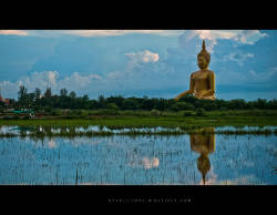 Buddha Statue at Thailand