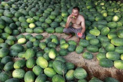 picturesoftheday:  A vendor ate a watermelon Tuesday at a market in Huaibei, in China’s Anhui Province. 