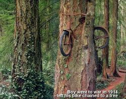   A boy left his bike chained to a tree