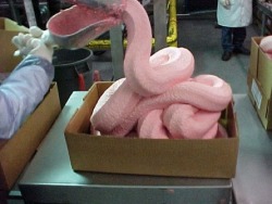 ghdos:   Say hello to mechanically separated chicken. It’s what all fast food chicken is made from- things like chicken nuggets and patties. Also, the processed frozen chicken in stores is made from it. Basically the entire chicken is smashed and pressed