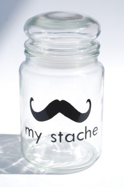 homemadecrap:  NOT a DIY, but COULD be….I’ve got the stache