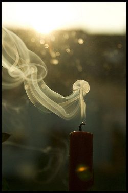 Our Lives Are Like A Candle In The Wind.
