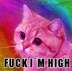 yourmom6669:  this is how i feel right now