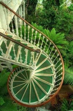 internerd:  dazzlingagony:  Tart Green by photographer Lori Aab  This is one of the spiral staircases in the Victoria House at the Royal Botanic Gardens, in Kew. And it’s probably my favorite place on Earth. 