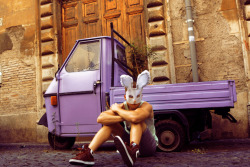 Lavanda Bunny - Rome, Italy - 2011 - Alexander Guerra