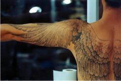    by Reed Leslie  it’s rare that wing tattoos are beautiful enough to transcend the cliché attached to them. this is gorgeous. 