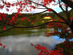 b-u-s-h-i-d-o:  Kinkaku-ji iin Autumn2：金閣寺