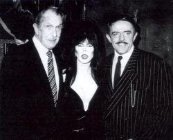 mockingbirdlane:  Vincent Price, Elvira, and John (Gomez Addams) Astin. 