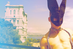 Luxe Bunny - Monaco 2011 - Alexander Guerra