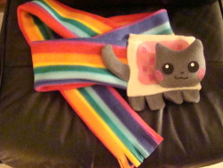Nyan Cat scarf with and without flash. Cute right? Nathen had bought this Nyan Cat scarf at Animethon. Just recently he gave it to me saying that he was gonna give it to me around the winter time so I could wear it, but decided to give it to me earlier.