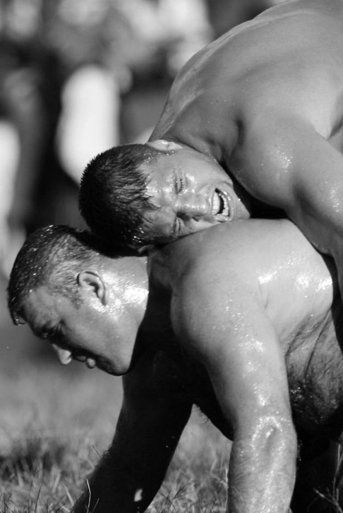 Turkish wrestling <3 adult photos