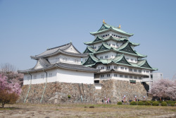 mangapip:  Nagoya Castle, Japan 名古屋城,