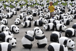 nerdgasmz:  nationalpost:  Photos of the day A child runs amongst some of the 1,600 papier mache pandas set up in Geneva by World Wildlife Fund members to celebrate their 50th anniversary, Sept. 2, 2011. (Sebastien Feval/AFP/Getty Images)  YUGIS YUGIS