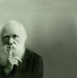 scipsy:  Awesome photo of Darwin (via Kemaha)