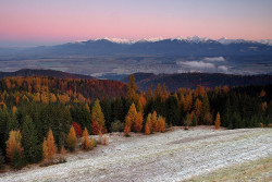Czechoslovakianlove:  Soft Morning Touch ~ High Tatras, Slovakia 
