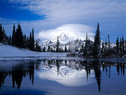 aesthecia:Mount Rainier Reflected in Tipsoo