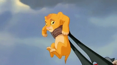 Beyonce & Jay-Z should come on stage and present their baby to the world like Mufasa did Simba . 