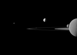neon-loneliness:  On July 29, 2011, the unending dance of Saturn’s moons lined them up perfectly for a stunning view by the Cassini spacecraft… From left to right that’s Janus, Pandora (in the rings), Enceladus,  Mimas, and Rhea. Perspective plays