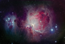 lookatthesefuckinstars:  The Great Orion Nebula 