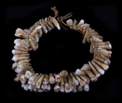 This  Exceptionally Rare Human Tooth Necklace Or  “Vuasagale”  Contains 138 Teeth.