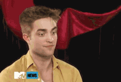 uglybloggerlol:   “What do you have in common with Edward Cullen?”  Rob - “I look a bit like him.”   i swear to god no one hates twilight more than rob 