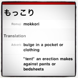 atomicboyx:  My new favorite japanese word “Mokkori” lol!!! #Tokyo  (Taken with instagram) 