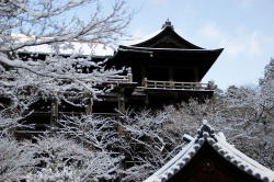 lovestoryinhistory:  雪の清水寺 by nobuflickr