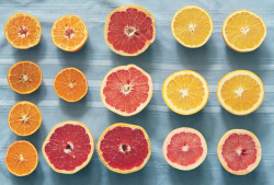 lokirsch:  Orange & Grapefruit Slices