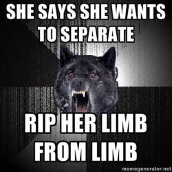 meme-spot:  Insanity Wolf http://j-u-m-b-l-e.tumblr.com/