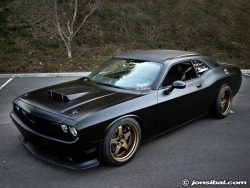 Muscle Car Dreaming
