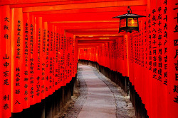 migas:  Fushimi Inari taisha, Kyoto, Japan