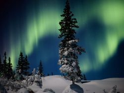 sav3mys0ul:  Aurora Borealis, Manitoba, Canada Photograph by