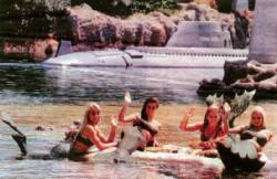 In the years 1965 - 1967, Disneyland employed women dressed as mermaids to inhabit the lagoon for the Submarine Voyage ride. If you were lucky, you could glimpse them swimming through the portholes of the submarine as you were submerged underwater.