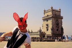 Belem Bunny - Lisbon, Portugal 2011 Alexander Guerra