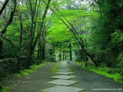 Moni656:  Kyoto, Japan. This Place Looks Like A Very Peaceful Place To Visit! 
