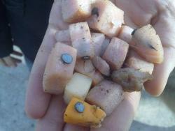 poisonparfaitparty:  badbitchwill:  New trend at dog parks! apparently people are wylin putting nails in pieces of cheese. soo outrageous, who would even do that? what do people gain from doing this?  whoooaaa, dude warning to any people who follow me
