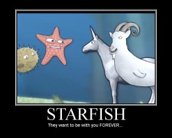 anitalovegood:  About Starfish’s 