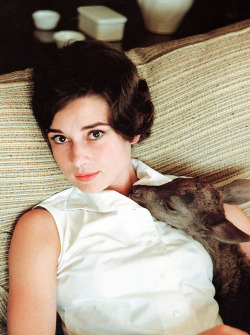 likiteesplit:   Audrey Hepburn with her deer ‘Pippin’ photographed by Bob Willoughby  Amazing.  It absolutely does not resemble her at all in my opinion.  A great photograph.