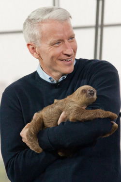peter-fucking-pan:  tiagocmendes:  bolbi—stroganovsky:  astringofpearls:  dr-wtfox:  tehblackbird:  rainbowballz:  Stop whatever the fuck you’re doing and look at Anderson Cooper holding a sloth.  Co-signed.  Anderson Cooper holding a sloth, everybody.