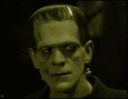 Mothgirlwings:  Universal Studios Classic Monsters; Frankenstein (1931), Dracula