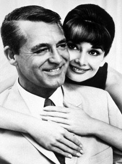 lexmess:  beautyandterrordance:  Cary Grant and Audrey Hepburn  george clooney is literally cary grant reincarnated.  