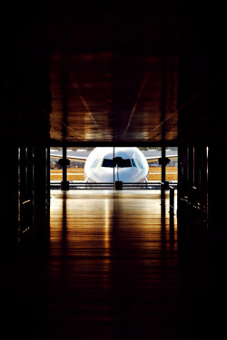 youlikeairplanestoo:  A lonely Airbus peeking