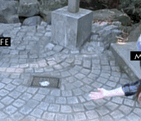 the-absolute-best-gifs:  Click to follow