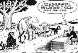 mythicalogical:  thesexypenguin:   The educational system in one image.  “Everybody is a genius. But if you judge a fish on its ability to climb a tree, it will spend the rest of its life thinking it’s an idiot.” -Albert Einstein  Reblogging. always.